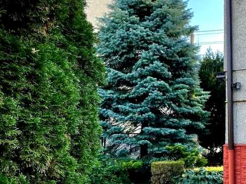 дом по адресу Панаса Мирного ул.