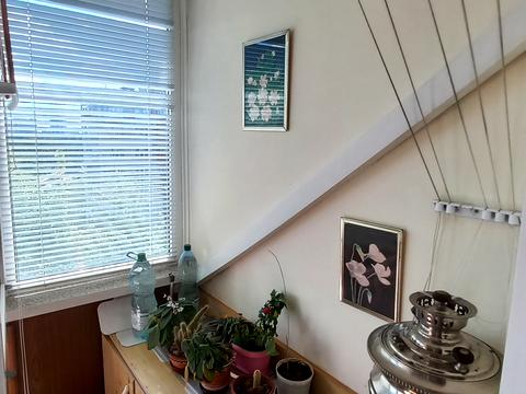 квартира по адресу Остафия Дашкевича ул. (Курнатовского), 2-А