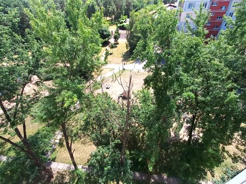 квартира по адресу Остафия Дашкевича ул. (Курнатовского), 2-А
