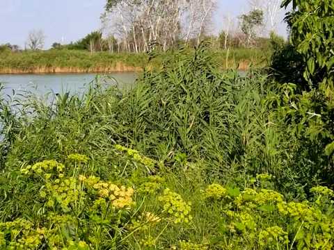 будинок за адресою Старочумацька вул. (Байкальська)