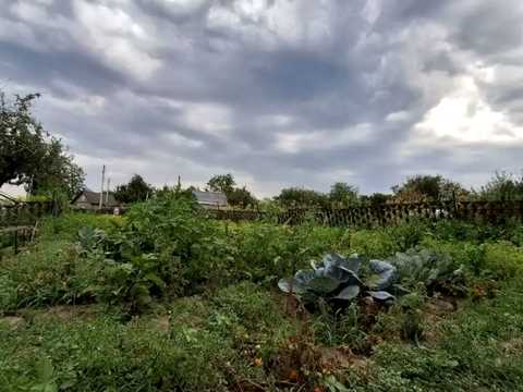 дом по адресу Лавандовая ул. (Петра Сиротинина)