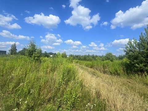участок по адресу Виноградна