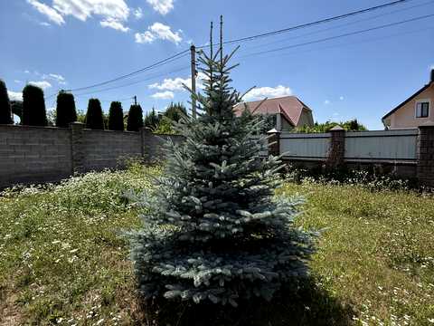 будинок за адресою с. Струмівка, Яблунева, 11