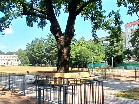 квартира за адресою Пономарьова вул., 2-А