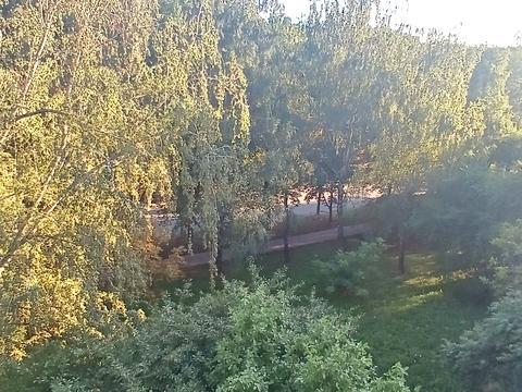 квартира за адресою Вінниця, Андрія Первозванного вул. (Стахурського), 14