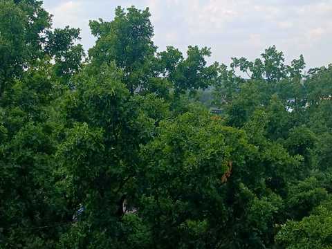 квартира за адресою Доківська вул., 9
