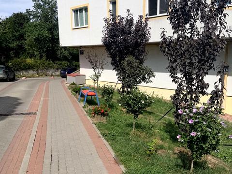 квартира за адресою Лисеницька вул., (Будинок)