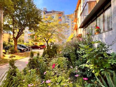квартира за адресою Городоцька вул., 317