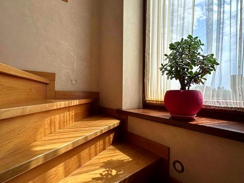 дом по адресу Брюховицька, 22