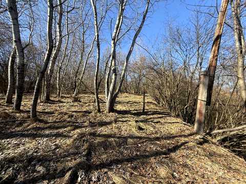 ділянка за адресою Зарічна вул.