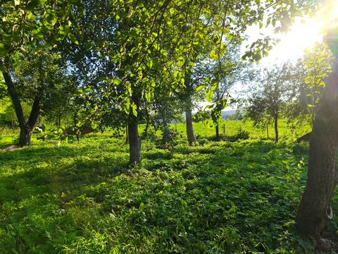 будинок за адресою Дністерська