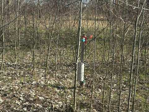 ділянка за адресою Онтаріо