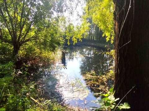 будинок за адресою с. Озеряни, Молодіжна