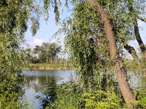дом по адресу Клубничка, 100