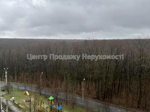 квартира по адресу Победы просп., 66м