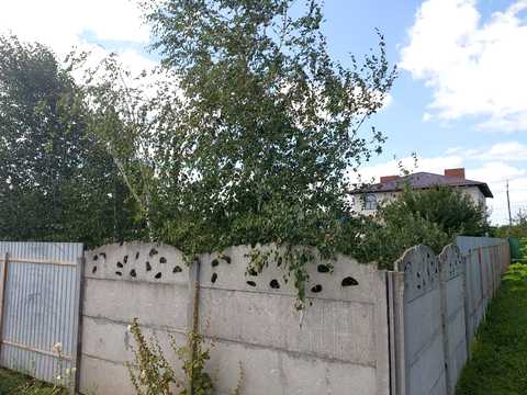 будинок за адресою Польова