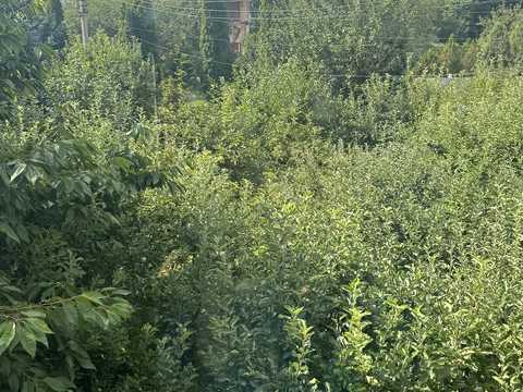 участок по адресу Тисменицька ул., 222б