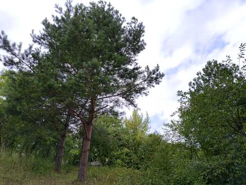 квартира за адресою Степана Бандери вул., 5