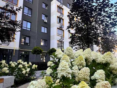 квартира за адресою Соборна вул., 2-К/38