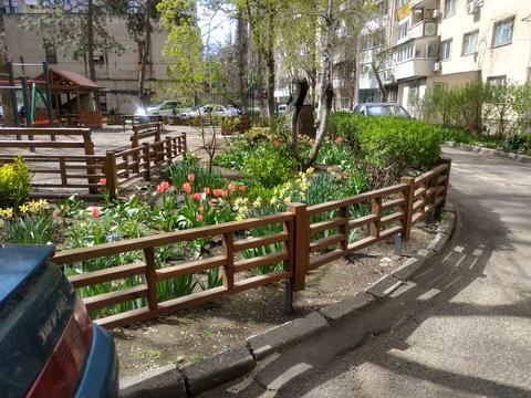 квартира за адресою Педагогічна вул., 16