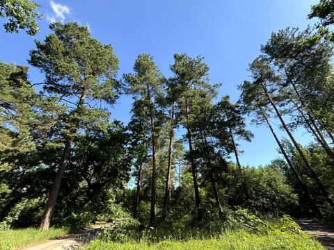 ділянка за адресою Анатолія Солов'яненка вул., 280