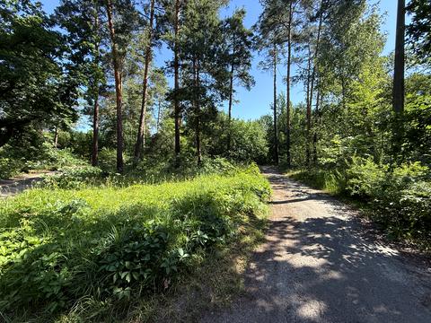 ділянка за адресою Анатолія Солов'яненка вул., 280