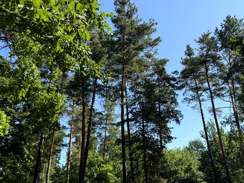 ділянка за адресою Анатолія Солов'яненка вул., 280