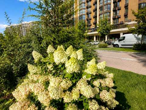 квартира за адресою Мартинова просп., (вул. Боголюбова, 48)