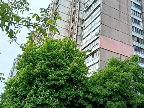 квартира по адресу Вячеслава Черновола ул., 10