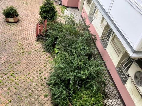 квартира по адресу Малоподвальная ул., 12/10