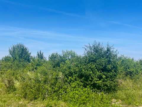 ділянка за адресою Корваллівська