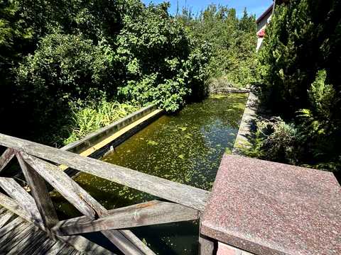 будинок за адресою Лісова вул., 31