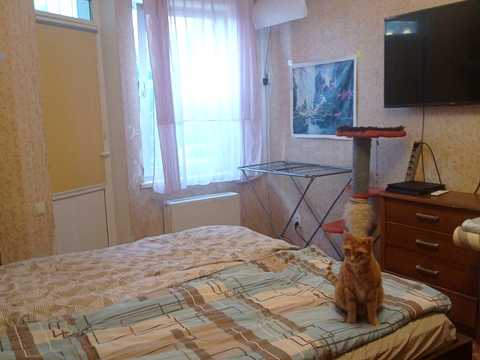 квартира по адресу Радужный массив ул., 19/3