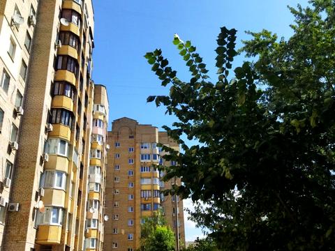 квартира за адресою Новодарницька вул., 6