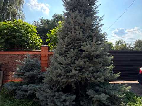 дом по адресу Молодіжна ул., 17