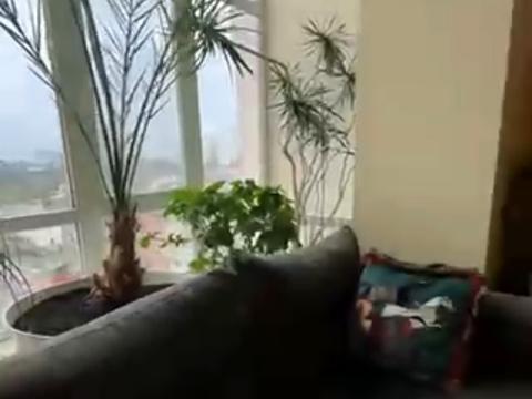 квартира по адресу Хвойный пер., 8-Б