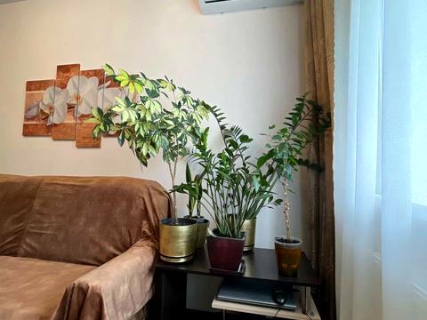 квартира за адресою Коксова вул., 16