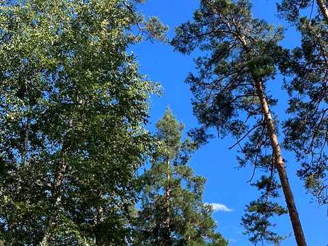 ділянка за адресою Львівська вул.