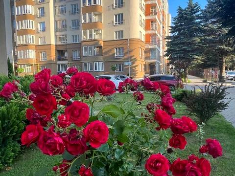 квартира по адресу Стрийская ул., 115