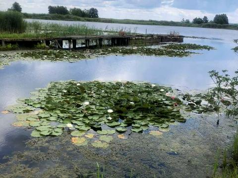 будинок за адресою Луговий пров.