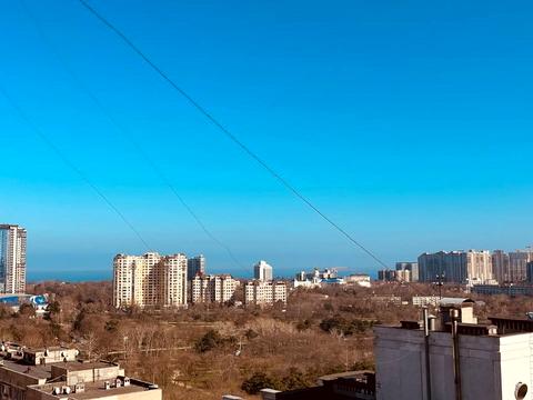 квартира по адресу Добровольцев ул. (Маршала Говорова), 10/3
