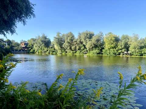 будинок за адресою Лугова вул., 6