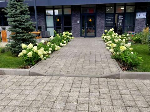 квартира за адресою Олега Мудрака вул. (Генерала Наумова), 1-Б