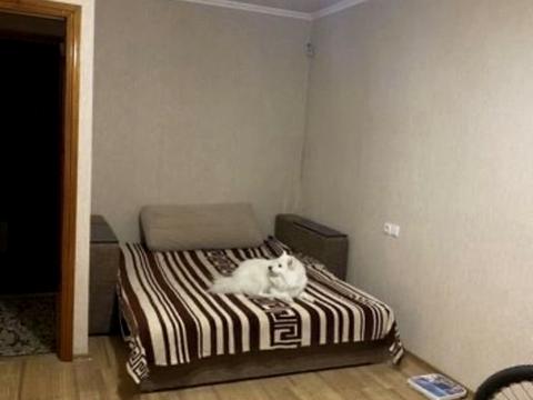 квартира по адресу Леся Сердюка ул. (Командарма Корка), 48/2