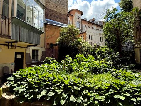 комерційна за адресою Львів, Степана Бандери вул. (), 61