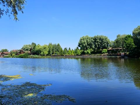 будинок за адресою гагаріна, 25