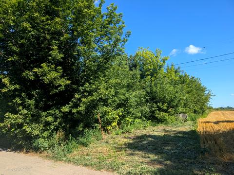 участок по адресу Ватутіна, 6а