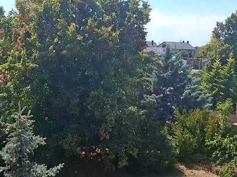 будинок за адресою Паркова