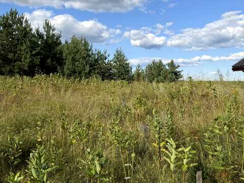 ділянка за адресою Івана Франка вул. (Некрасова)