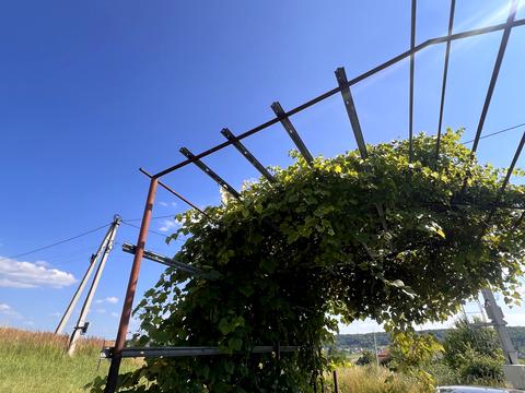будинок за адресою Лесі України, 11